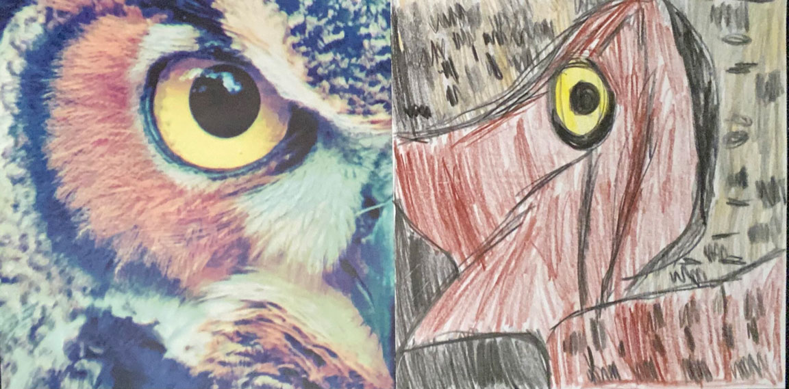 A half colored drawing of an owl, besides another half of a picture the owl on the left.