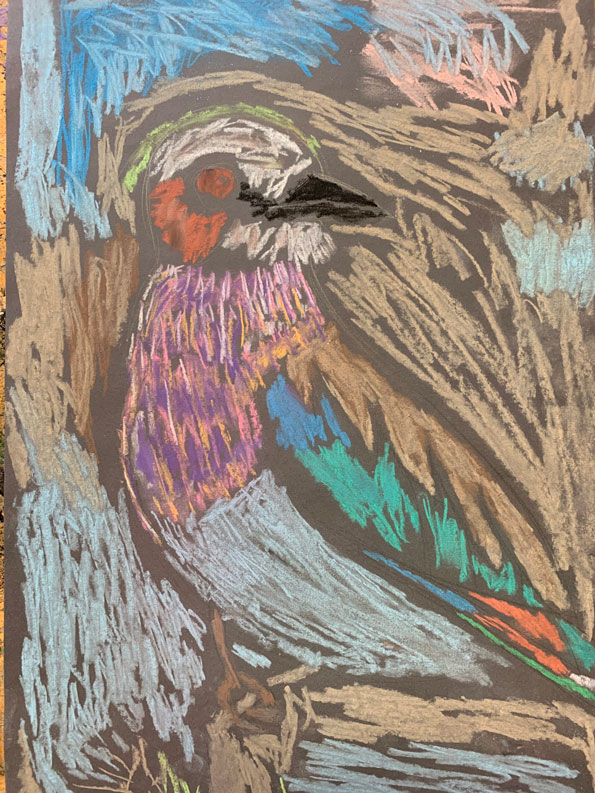 A pastel chalk art piece of a bird.