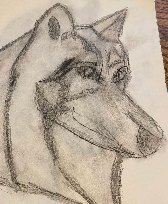 A pencil artwork of a dog.