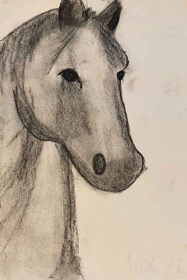 A pencil drawing of a horse.